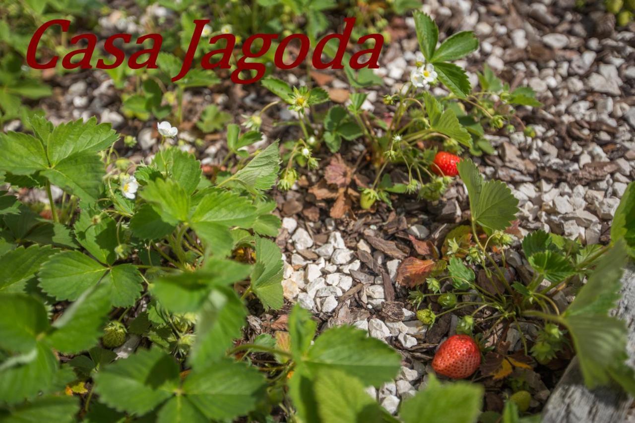 Casa Jagoda Višnjan Esterno foto
